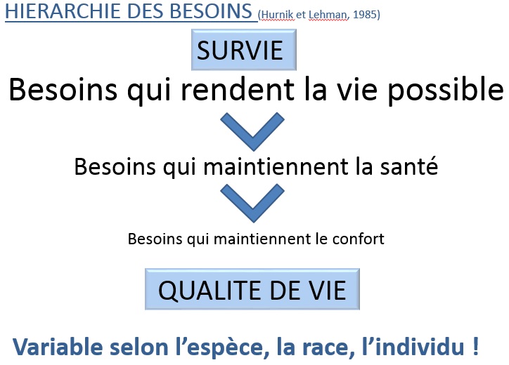 Bien-être de l'animal: une question de point de vue Image26