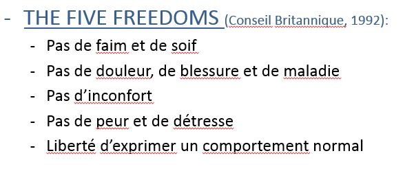 Bien-être de l'animal: une question de point de vue Image27