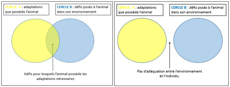 Bien-être de l'animal: une question de point de vue Image28