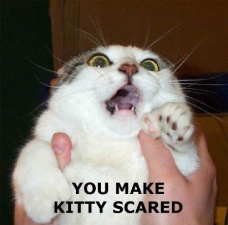 LOLCATS Scared10