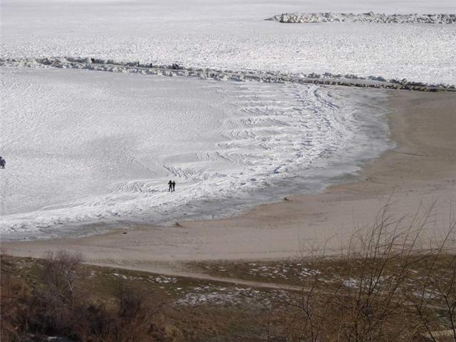 Frozen Sea - Amazing! Z411