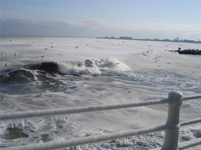 Frozen Sea - Amazing! Z710