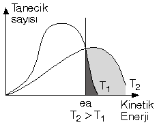 Konu-8: Hz 10_rea13