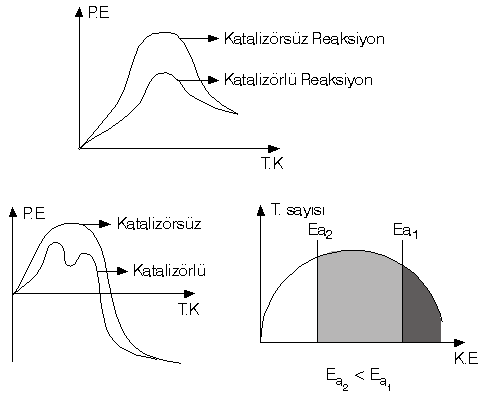 Konu-8: Hz 10_rea14