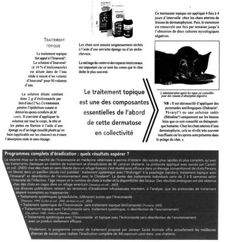 Comment traiter la teigne ? - Page 2