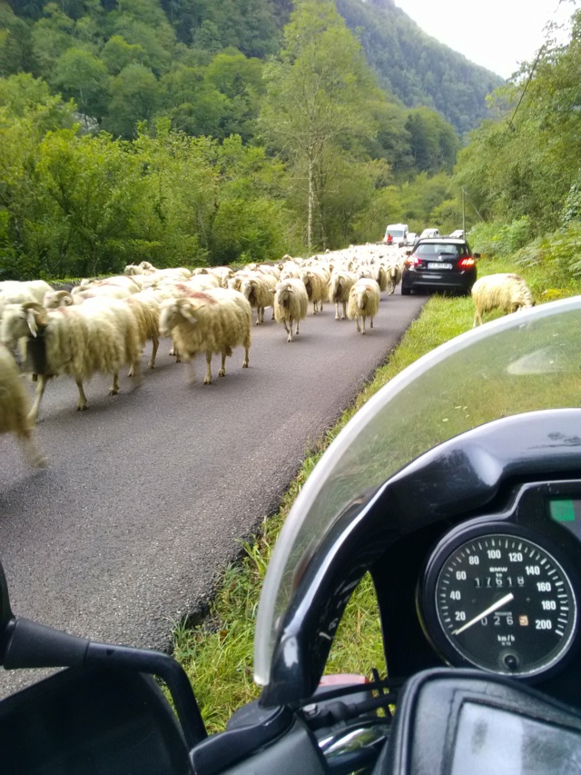 la transpyrénéene  juin 2019  Img_2032