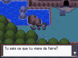 [SoulSilver] [Randomizer] La Malédiction des PNJs 00813