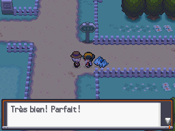 [SoulSilver] [Randomizer] La Malédiction des PNJs 01812