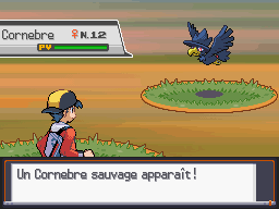 [SoulSilver] [Randomizer] La Malédiction des PNJs 02610