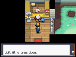 [SoulSilver] [Randomizer] La Malédiction des PNJs 04910