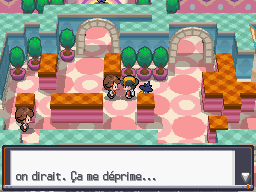 [SoulSilver] [Randomizer] La Malédiction des PNJs 05011