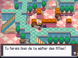 [SoulSilver] [Randomizer] La Malédiction des PNJs 05411