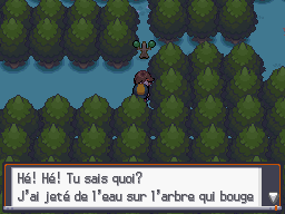 [SoulSilver] [Randomizer] La Malédiction des PNJs 09310