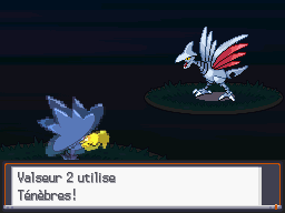 [SoulSilver] [Randomizer] La Malédiction des PNJs 10510