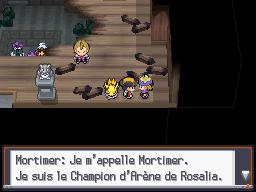 [SoulSilver] [Randomizer] La Malédiction des PNJs 17210