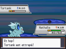 [SoulSilver] [Randomizer] La Malédiction des PNJs 25310