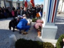 (N°53)Photos de la cérémonie commémoration du 11 novembre 2014 à Saleilles (66) France.(Photos de Raphaël ALVAREZ) Le_11_21