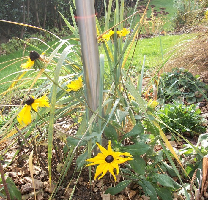 Je suis descendue au jardin ,pour ..... chapitre I en l'an - Page 18 01110