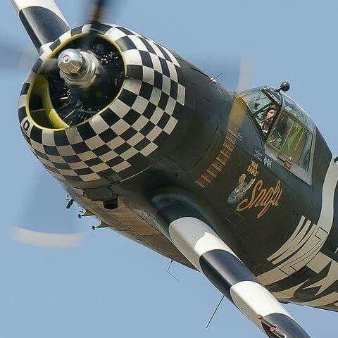 War birds  P-4710