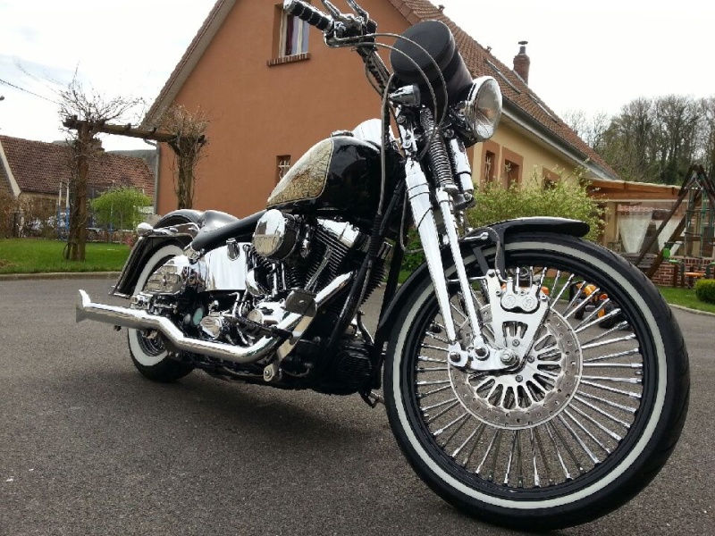 Softail Springer et Springer Heritage  Uniquement 20140410