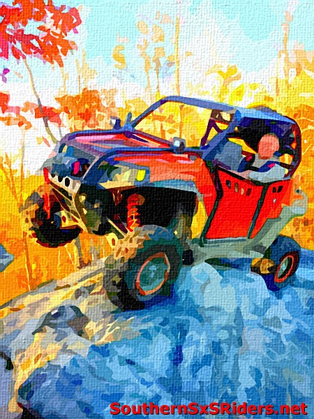 Oil Painted SxS - Page 8 W-ridg10
