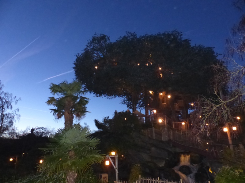 TR séjour magique & topissime à Disneyland Paris - Sequoia Lodge (GFC) - du 17/12/13 au 20/12/13 [Saison 3 Terminée - Épisode 11 – Épisode final !  posté le 25/11/2014 !] - Page 25 P1020512