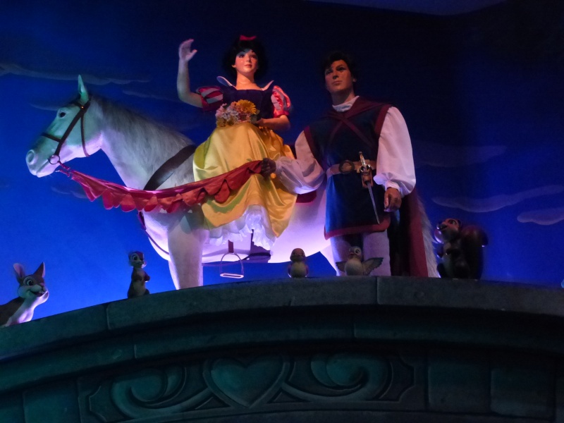 TR séjour magique & topissime à Disneyland Paris - Sequoia Lodge (GFC) - du 17/12/13 au 20/12/13 [Saison 3 Terminée - Épisode 11 – Épisode final !  posté le 25/11/2014 !] - Page 25 P1020517