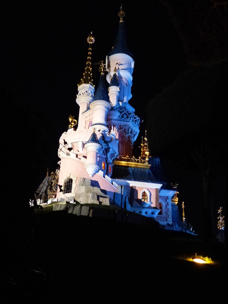 TR séjour magique & topissime à Disneyland Paris - Sequoia Lodge (GFC) - du 17/12/13 au 20/12/13 [Saison 3 Terminée - Épisode 11 – Épisode final !  posté le 25/11/2014 !] - Page 25 P1020519
