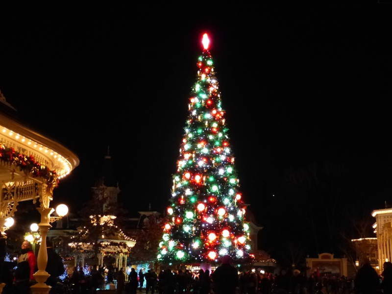 TR séjour magique & topissime à Disneyland Paris - Sequoia Lodge (GFC) - du 17/12/13 au 20/12/13 [Saison 3 Terminée - Épisode 11 – Épisode final !  posté le 25/11/2014 !] - Page 25 P1020523