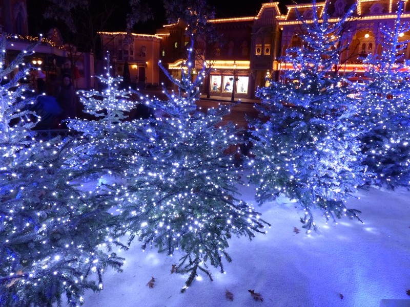 TR séjour magique & topissime à Disneyland Paris - Sequoia Lodge (GFC) - du 17/12/13 au 20/12/13 [Saison 3 Terminée - Épisode 11 – Épisode final !  posté le 25/11/2014 !] - Page 25 P1020524