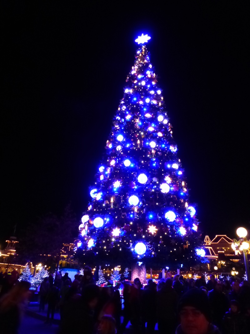 TR séjour magique & topissime à Disneyland Paris - Sequoia Lodge (GFC) - du 17/12/13 au 20/12/13 [Saison 3 Terminée - Épisode 11 – Épisode final !  posté le 25/11/2014 !] - Page 25 P1020526