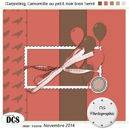 Darjeeling, Camomille ou petit noir Serré ----> sortie le 20 novembre - PV OK Dg10