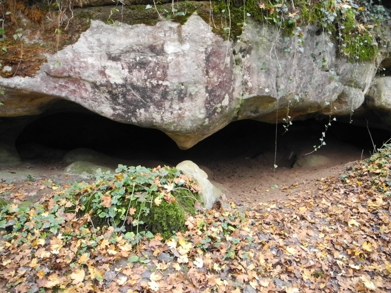 Sortie abris gravés de la forêt de Fontainebleau Dscn2312