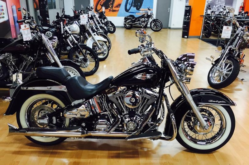 petitness bientot en softail deluxe Deluxe10