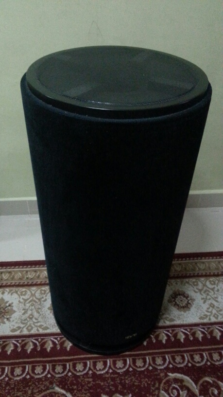 SVS PC12-NSD Subwoofer(Used)(SOLD) Img-2010