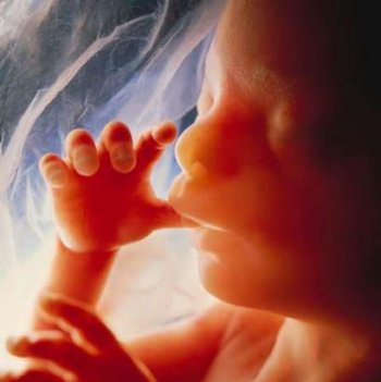 Le PS souhaite que la France milite pour l'avortement universel Bebe-a10