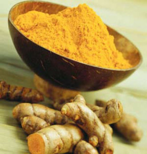 CURCUMA, précieuse épice indienne jaune  Curcum10