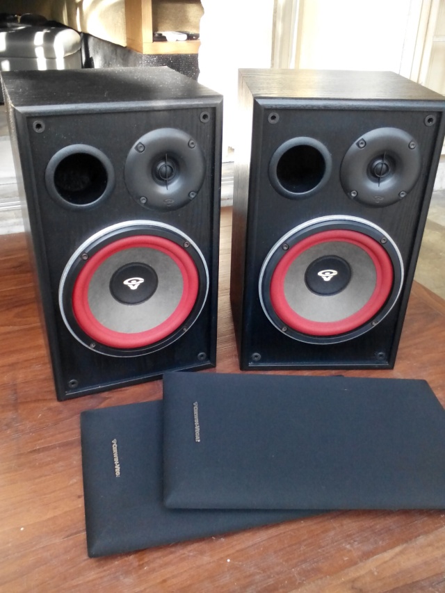 Cervin Vega! E208 speakers (sold) Img_2013