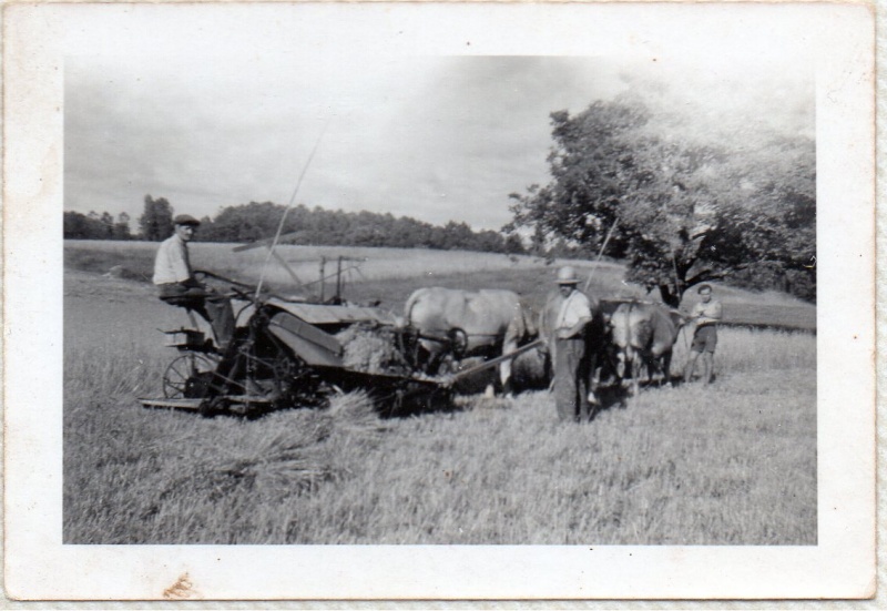 la moissonneuse lieuse du grand père 210