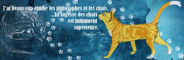 Image hébergée par servimg.com
