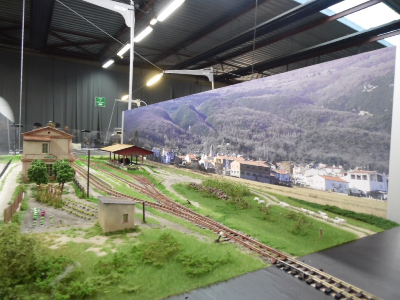 Rail Expo 2014 ; Les Amis du Rail FTM, + réseaux divers... Sam_0226