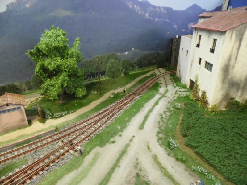 Rail Expo 2014 ; Les Amis du Rail FTM, + réseaux divers... Sam_0235