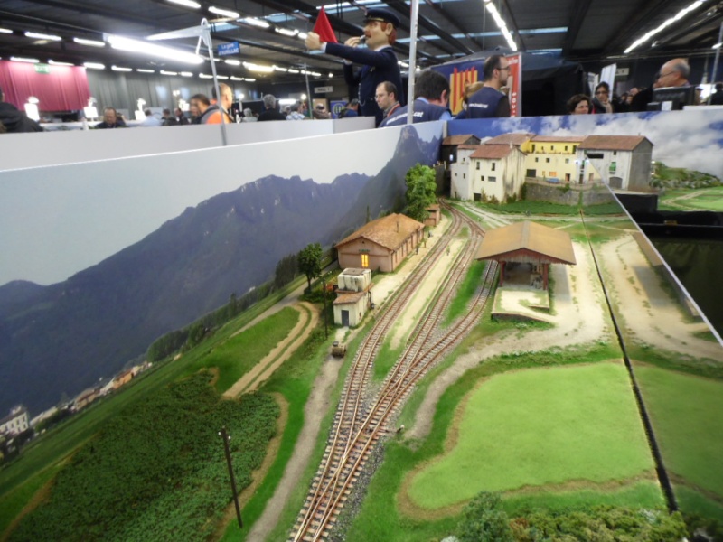 Rail Expo 2014 ; Les Amis du Rail FTM, + réseaux divers... Sam_0240