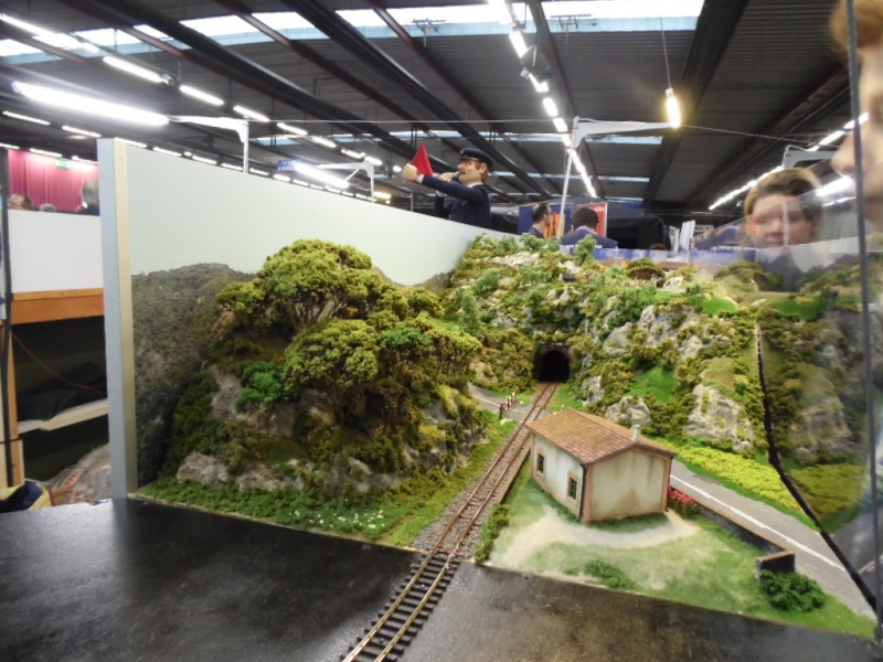 Rail Expo 2014 ; Les Amis du Rail FTM, + réseaux divers... Sam_0242