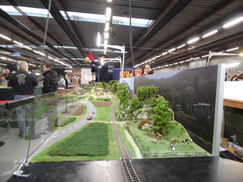 Rail Expo 2014 ; Les Amis du Rail FTM, + réseaux divers... Sam_0250