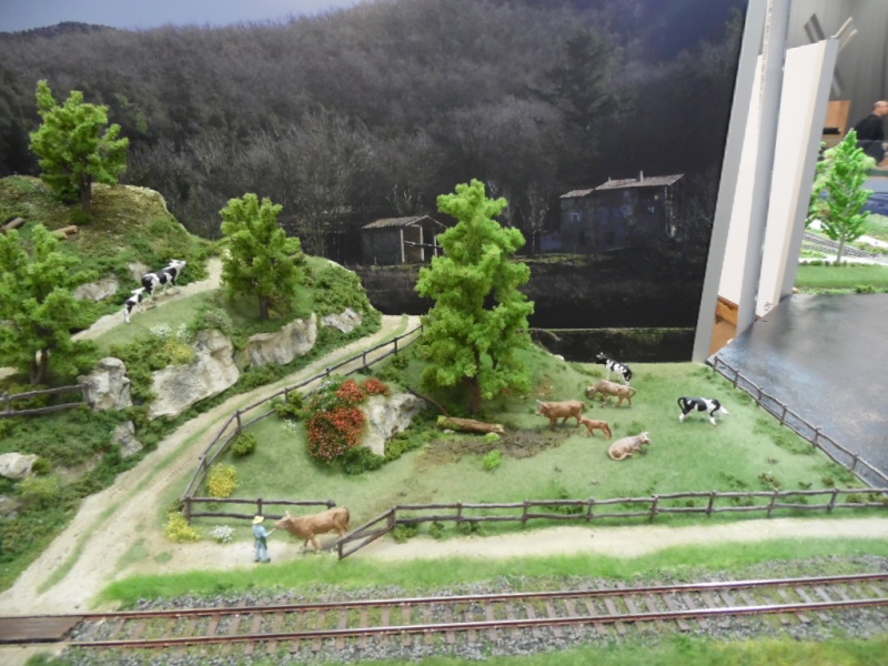 Rail Expo 2014 ; Les Amis du Rail FTM, + réseaux divers... Sam_0251