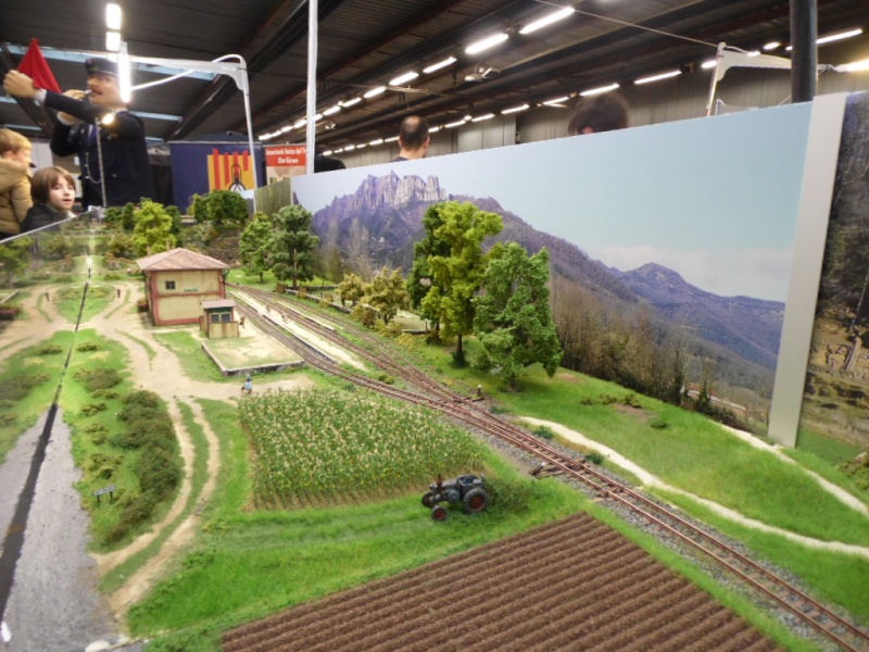 Rail Expo 2014 ; Les Amis du Rail FTM, + réseaux divers... Sam_0253