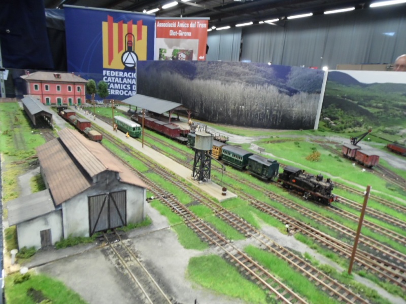 Rail Expo 2014 ; Les Amis du Rail FTM, + réseaux divers... Sam_0264