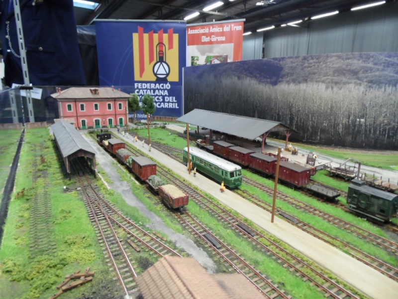 Rail Expo 2014 ; Les Amis du Rail FTM, + réseaux divers... Sam_0266