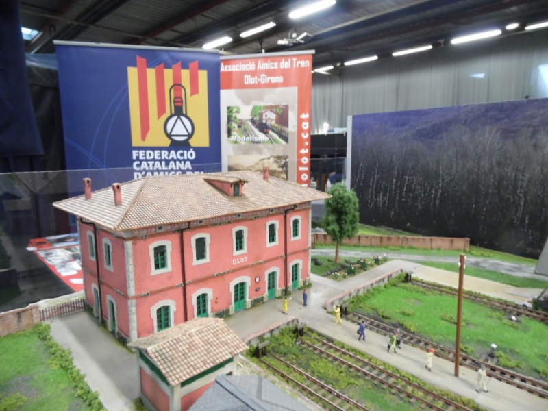 Rail Expo 2014 ; Les Amis du Rail FTM, + réseaux divers... Sam_0269